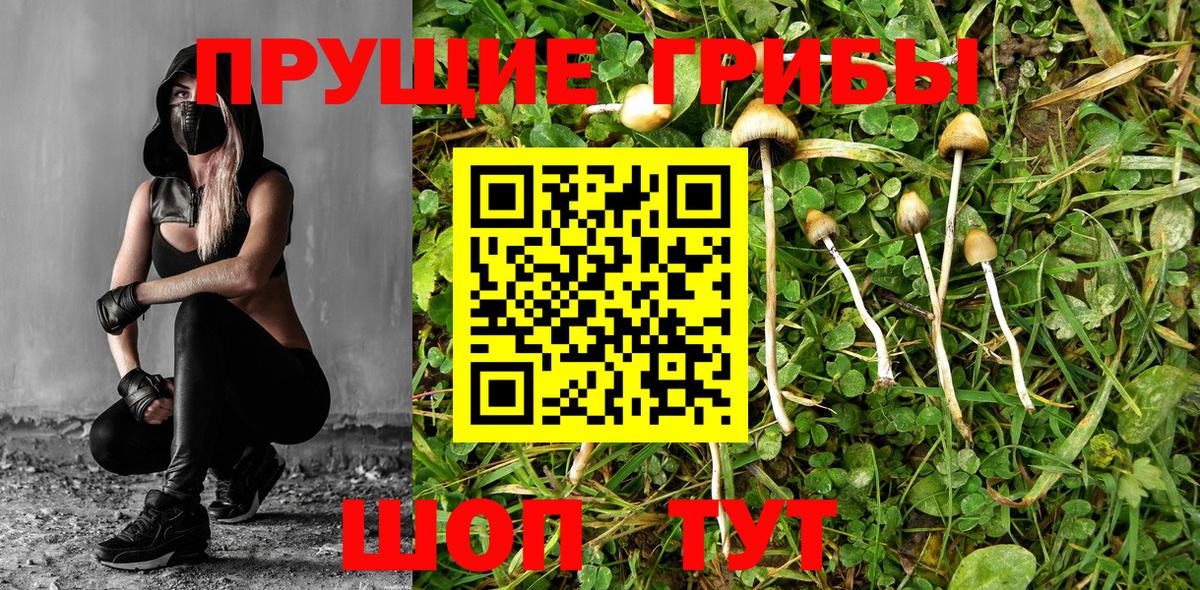 Галлюциногенные грибы Psilocybine cubensis  Галлюциногенные грибы прущие грибы  Вход с VPN  дарнет шоп  Благовещенск 